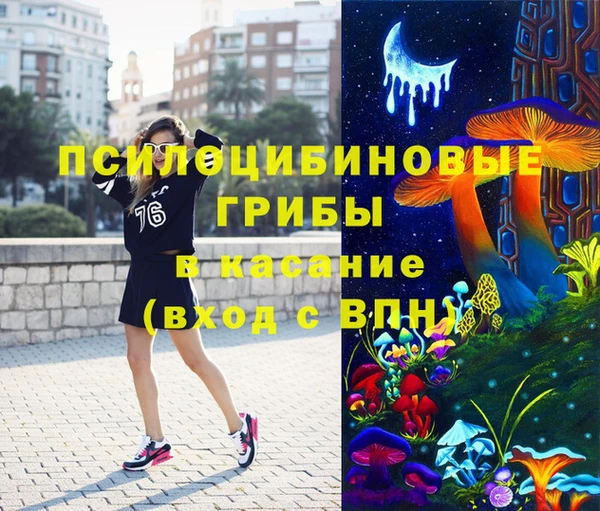 МДПВ Алексин